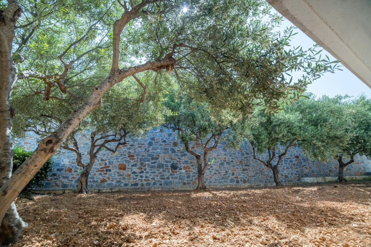 Semiramis Village Ξενοδοχείο